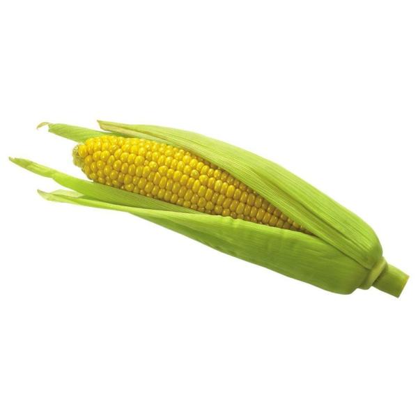 Angie’s Sweet & Salty Kettle Corn staple - Image 2